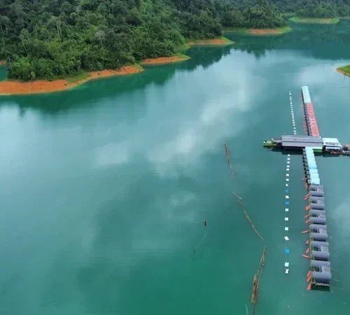 KhaoSokNationalPark-e1754155114657 KhaoSokNationalPark-e1754155114657